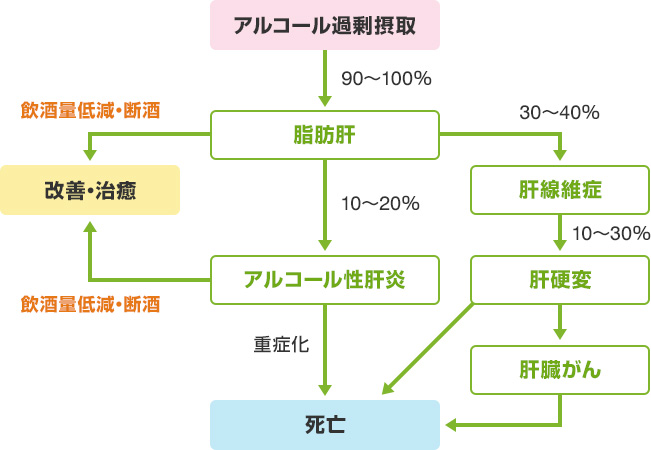 アルコール性肝障害の経過について、アルコールを過剰摂取した場合90～100%は脂肪肝を発症しますが、飲酒量低減・断酒をすることで改善・治癒に向かう一方、30～40%は肝線維症を発症し、10～20%はアルコール性肝炎を発症するケースがあり重症化すれば最悪の場合死亡するリスクがあります。