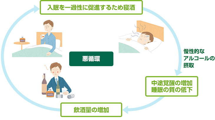 入眠を一過性に促進するため寝酒、慢性的なアルコールの接種、中途覚醒の増加・睡眠の質の低下、飲酒量の増加、入眠を一過性に促進するため寝酒、という悪循環が起こります。